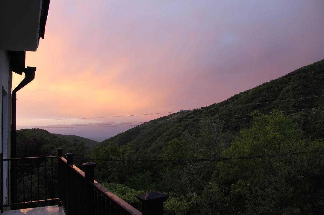 The Nature Sighnaghi Exterior photo