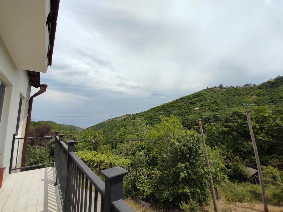 The Nature Sighnaghi Exterior photo